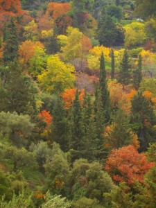 Άγιος Ιωάννης ο Χρυσόστομος Να είμαστε δυνατοί στους πειρασμούς της ζωής