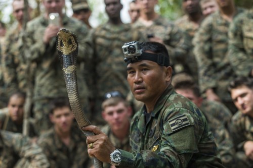 A Thai Navy instructor demonstrates to U.S. Marines how to catch a cobra during a jungle survival exercise with the Thai Navy as part of the "Cobra Gold 2014" joint military exercise, in Chanthaburi province