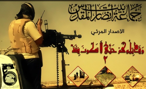 Ansar Bayt al Maqdis (Ansar Jerusalem) Sinai Attacks December 2013-thumb-560x342-2639