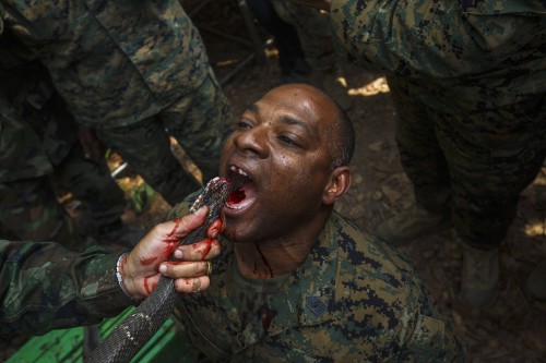 A U.S. Marine drinks the blood of a cobra during a jungle survival exercise with the Thai Navy as part of the "Cobra Gold 2014" joint military exercise, in Chanthaburi province