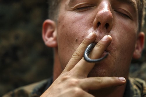 A U.S. Marine plays with a tail of a dead cobra in his mouth during a jungle survival exercise with the Thai Navy as part of the "Cobra Gold 2014" joint military exercise, in Chanthaburi province