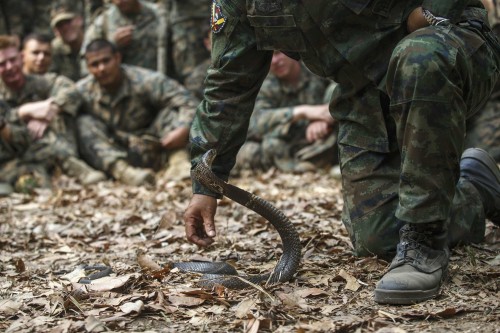 A Thai Navy instructor demonstrates to U.S. Marines how to catch a cobra during a jungle survival exercise with the Thai Navy as part of the "Cobra Gold 2014" joint military exercise, in Chanthaburi province