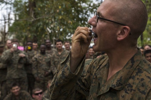 A U.S. Marine eats a scorpion during a jungle survival exercise with the Thai Navy as part of the "Cobra Gold 2014" joint military exercise, in Chanthaburi province