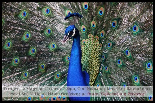 Τετάρτη 12 Μαρτίου 2014 στις 7.00μμ, Ο π. Νικόλαος Μανώλης θα ομιλήσει στον Ι.Βυζ.Ν. Προφ