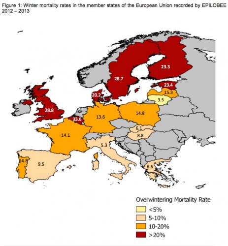 epilobee-θνησιμότητα-των-μελισσών-2