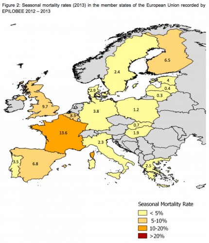 epilobee-θνησιμότητα-των-μελισσών-3