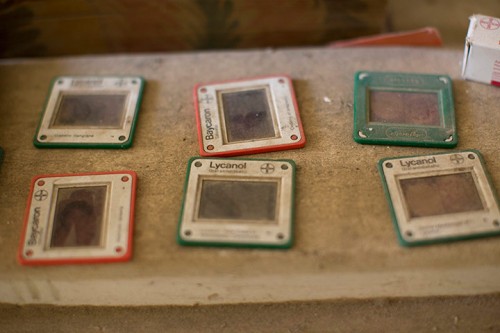 Photographic slides in the abandoned commercial area in central Nicosia