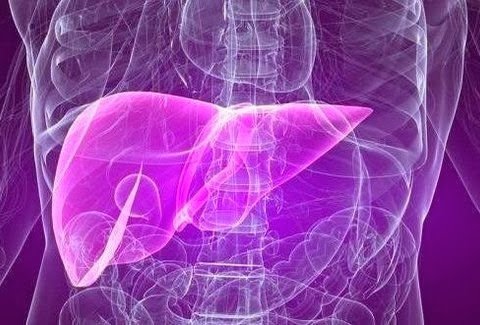 Αυτό_πρέπει_να_το_διαβάσετε!-4e9a4d9fb4ad558a9f66905cf22c7825