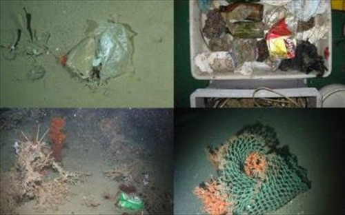 έρευνα-που-σοκάρει-τόνοι-σκουπιδιών-συσσωρεύονται-στο-βυθό-της-θάλασσας