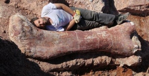 βρήκαν-τον-μεγαλύτερο-δεινόσαυρο-που-έζησε-ποτέ-στη-Γη-2