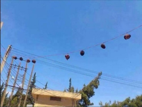 10245526_630780690325433_8581966390176168059_n