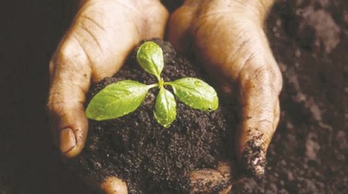 CACHE_620X620_1_1135723