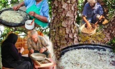 οι-κορυφαίες-ελληνικές-υπερ-τροφές