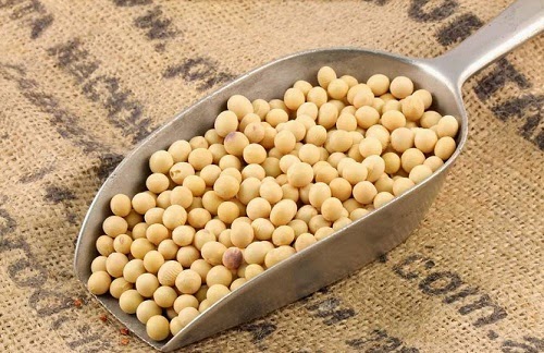 σόγια-170-επιστημονικές-μελέτες-επιβεβαιώνουν-τους-κινδύνους-για-την-υγεία-μας