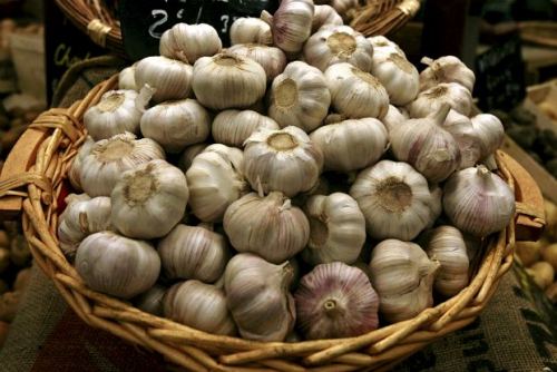 το-σκόρδο-προστατεύει-από-τις-δηλητηριάσεις