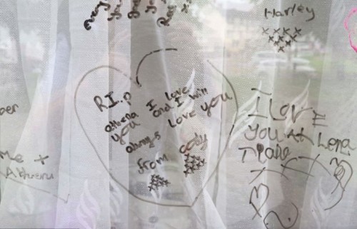 μια-12-χρονη-έφυγε-από-καρκίνο-αφήνοντας-ένα-συγκλονιστικό-μήνυμα-4