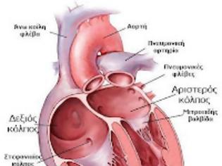 όσα-δεν-θέλουν-οι-φαρμακευτικές-και-οι-καρδιολόγοι-να-γνωρίζουμε