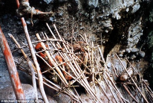 μακάβριο-έθιμο-της-φυλής-άνγκα-1