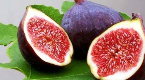 σύκο-καταπολεμάει-τη-δυσκοιλιότητα-και-είναι-απαραίτητο-για-το-αίμα-μας