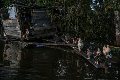 το-πλωτό-χωριό-του-αμαζονίου-μια-ζωή-χτισμένη-πάνω-στο-νερό-7