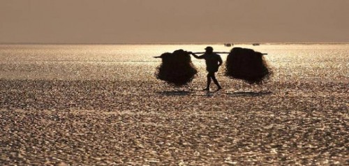 chandipur-η-ασυνήθιστη-παραλία-όπου-η-θάλασσα-εξαφανίζεται