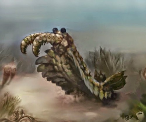 θαλάσσια-καλαμαρο-γαρίδα