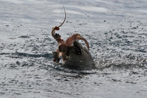 λευκάδα-οι-φωτογραφίες-της-ημέρας