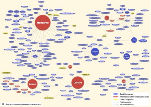 οι-γενετικά-τροποποιημένοι-οργανισμοί-καταστρέφουν-τη-βιοποικιλότητα