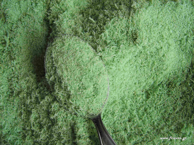 φτιάχνω-οικολογικό-εντομοκτόνο-για-προστασία-φυτών