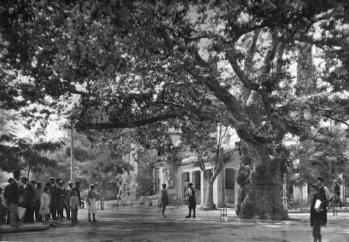 αριστουργηματικές-φωτογραφίες-από-την-Ελλάδα-του-1900-1946-5