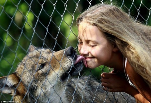 η-10χρονη-που-λατρεύουν-οι-λύκοι-3
