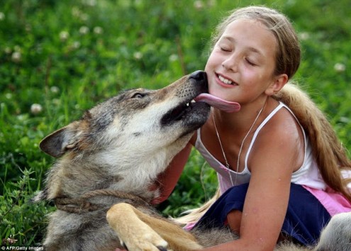η-10χρονη-που-λατρεύουν-οι-λύκοι-4