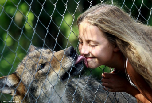 η-10χρονη-που-λατρεύουν-οι-λύκοι
