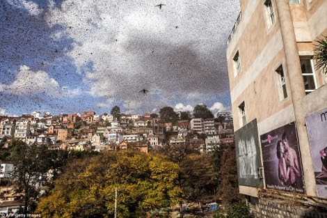 βιβλικές-εικόνες-στη-μαδαγασκάρη-2