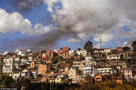 βιβλικές-εικόνες-στη-μαδαγασκάρη-3