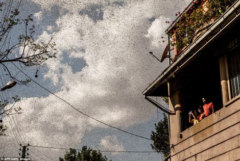 βιβλικές-εικόνες-στη-μαδαγασκάρη-4