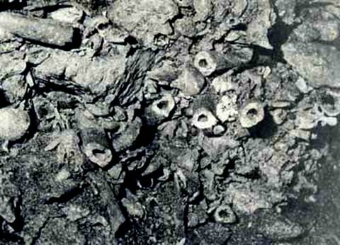 ο-μύθος-του-καιάδα