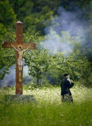 10603313_10203184450155711_5811437786280233219_n