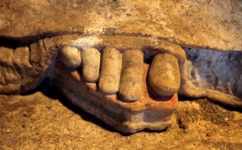 αρχείο λήψης (12)