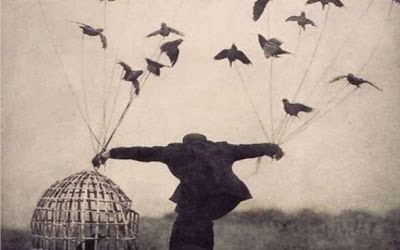 ελευθερο+πεταγμα