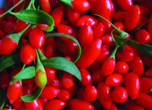 goji-berry-στη-διατροφή-μας