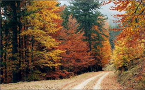 αλβανια -ελλαδα