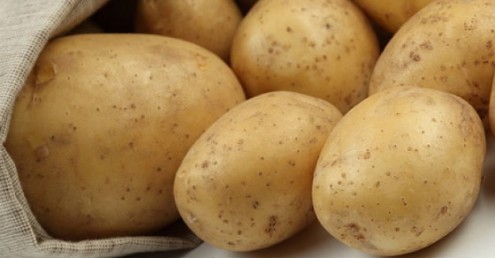 γενετικά-τροποποιημένες-πατάτες