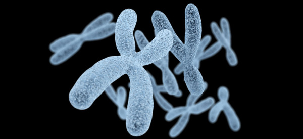 Chromosomes on black background