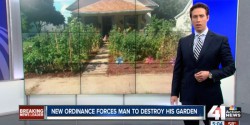 city-force-family-destroy-vegetable-garden-700x350