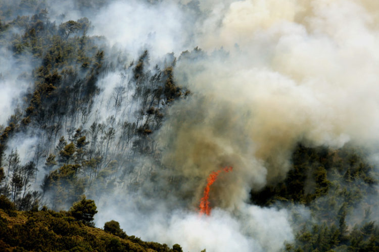 Ανεξέλεγκτη η φωτιά στα Δερβενοχώρια -Σε απόσταση αναπνοής από τα σπίτια - Εικόνα5