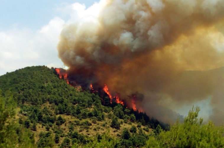 Ανεξέλεγκτη η φωτιά στα Δερβενοχώρια -Σε απόσταση αναπνοής από τα σπίτια - Εικόνα6