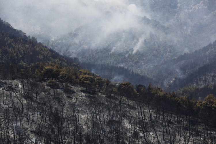Ανεξέλεγκτη η φωτιά στα Δερβενοχώρια -Σε απόσταση αναπνοής από τα σπίτια - Εικόνα7