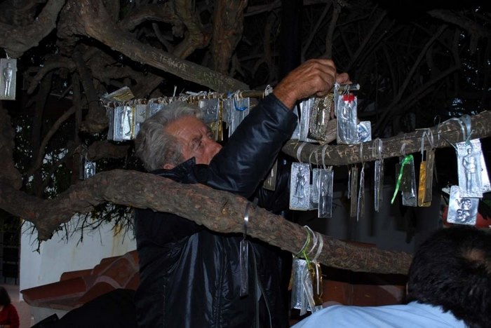 Μια από τις μεγαλύτερες σε ηλικία Μυρτιές στον κόσμο βρίσκεται στο Ηράκλειο