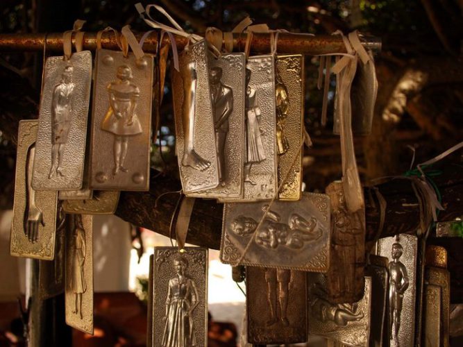 Μια από τις μεγαλύτερες σε ηλικία Μυρτιές στον κόσμο βρίσκεται στο Ηράκλειο